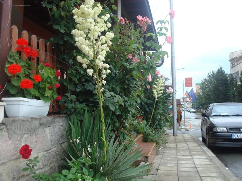 Lazur Hotel Равда Экстерьер фото